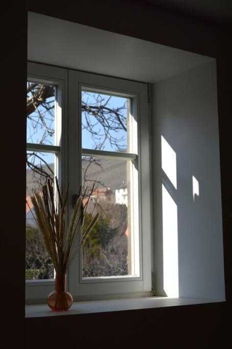 Apartmán La Douce Escale Turckheim Exteriér fotografie